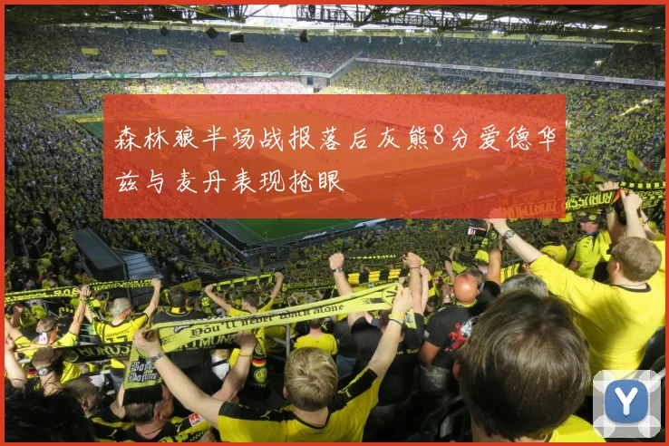 森林狼半场战报落后灰熊8分爱德华兹与麦丹表现抢眼